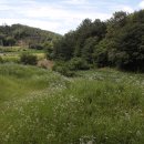 의령 운곡리 고분군 이미지