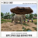 태국 방콕출발 촌부리 정글 코끼리 생츄어리 투어후기