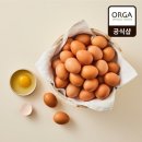 올가산지