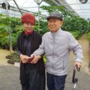 황혼농장 이미지