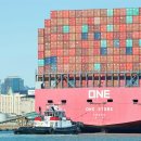 월드카익스프레스 이미지