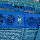 성경상사 이미지