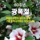 여주종합운동장 실내체육관 이미지