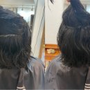 살롱디홍(Salon D.Hong)