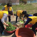 시량1리 경로당 이미지