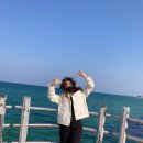 강정카센타 이미지