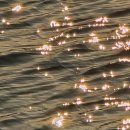 골장항 | [울진 바다] 7번 국도, 이름 모를 해변, 골장항, 기성망양해수욕장