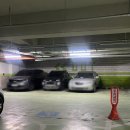 시너제틱스 재활교정 전문센터 | [인천/송도] 전신재활스트레칭 재활 체형교정 전문센터 : 파이필라테스 체험 후기