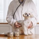 송도 종합 동물병원 이미지