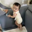 하나로마트(삼기) | 242일 조행운 육아일기