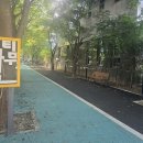 느티나무길 이미지