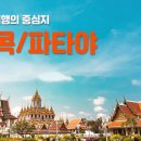 오렌지투어여행사 이미지