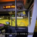 봄 설레임 콘서트 | 2025년 4.5.6월 일기_봄과 여름사이