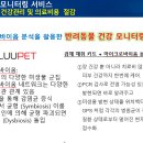 노스벳