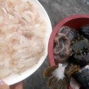 나폴리회식당