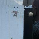 협재현스테이 | 제주 애견동반 협재현스테이 A동 내돈내산 솔직 후기(+자다가 경찰부른 썰..)