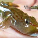 삼화2리 이미지