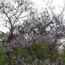 남악사지 이미지