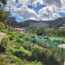 부국공인중개사사무소 이미지