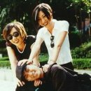 베이시스 이미지