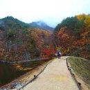대한민국 옛 지명 변화사 (역사, 문화, 지역)