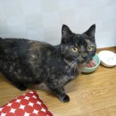 간석3동-1 이미지