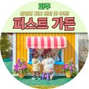 퍼스트가든 동물카페 | 파주 아이와 가볼만한곳 퍼스트가든 | 입장료·동물체험·포토존 솔직 후기 🌿