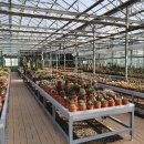 정원 관리: 가드닝의 기본 원리와 이론 | 2026 가드닝클래스 | 강의 소개 | 수업문의