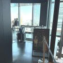 도쿄앤이탈리아돈가스 | [도쿄] 5일차: 시부야 스카이/ 시부야 스크램블...비비안웨스트우드/ 딘 앤 델루카 카페/ 토리카츠 치킨