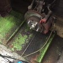 오토오아시스 락성점 이미지