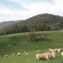 송정목장 이미지