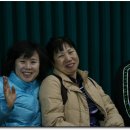 대명체육관 이미지