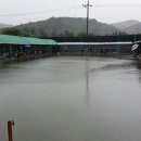 동화낚시터 이미지