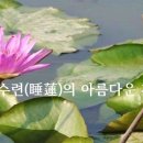 경전의 명언 - 부처님 말씀 - 2114 - 물과 같다, 이미지
