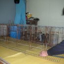 새벌농장 이미지