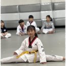 참태권도체육관 네이버블로그