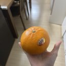 교촌치킨하남2지구점 이미지