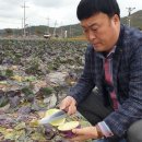 신안농협 이미지