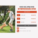 왈가왈부 반려견센터 이미지