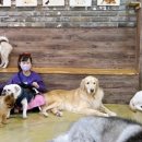 포포앤미루 강동점 이미지