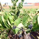 정재석농장 이미지