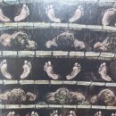 커피 인문학 이미지