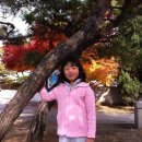 교학초등학교 이미지