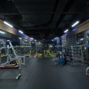 킹덤스포렉스 이미지