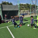 삼손태권도 이미지