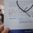 #26번 펠로폰네 이미지