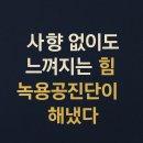 금은조제 | 사향 없이도 느껴지는 힘, 녹용공진단이 해냈다 [청주공진단]