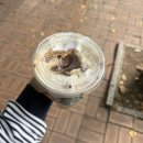 비앤비피시카페 | [D+526] Back in Brisbane / City Backpackers HQ 후기 / 자카란다 맛집 뉴팜 / Office works 증명사진...