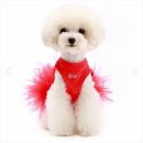 엔젤퍼피 이미지