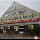 애니팜앵무새농장 | 앵무새와 가장 가깝게 놀 수 있는 곳인 것 같아요. 애니팜 앵무새 체험농장!